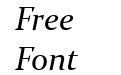 Constantia Italic