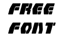 Counterfire Italic