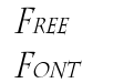 Chaz Thin Italic