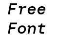 DM Mono Medium Italic