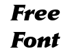 Daily News Extra Bold Italic