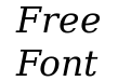 DejaVu Serif Italic