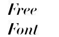 Didot-HTF-B96-Bold-Ital