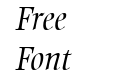 Ellington MT Light Italic