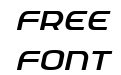 Federal Service Light Italic