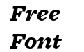 FreightMicro BlackItalic