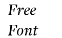 FreightText MediumItalic