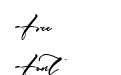 Harvey Signature