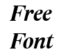 Lido STF CE Bold Italic