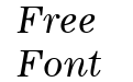 Lockup SSi Italic