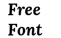 Lora Bold Italic