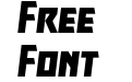 Major Force Expanded Italic