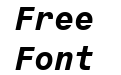 Monospace 821 Bold Italic BT