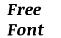 Noticia Text Bold Italic