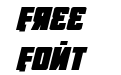 October Guard Italic