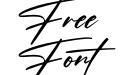 Optimistic Signature Italic