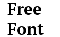 PT Serif Bold