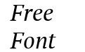 PT Serif Italic