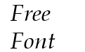 Palton ITALIC