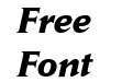 Daily News Bold Italic