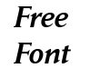 Daily News Medium Italic