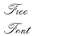 Rachgia-Italic