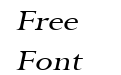 Rapid Wide Italic