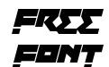 Robot Roar Italic