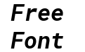 Roboto Mono Bold Italic