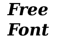 DejaVu Serif Bold Italic