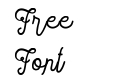 Sortdecai Cursive Wild Script