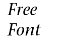 Stone Serif OS ITC TT MediumIta