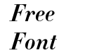 Didot-HTF-B11-Bold-Ital