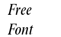 Times NR Condensed Italic