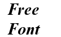 Times New Roman Mon Bold Italic