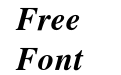 Times Newer Roman Bold Italic