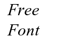 TimesNewRoman-Italic