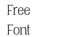 Vacer Serif Personal Light