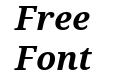 Droid Serif Bold Italic