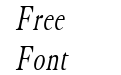 Elephant Thin Italic