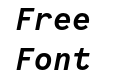 Code Saver Bold Italic