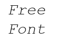 Courier New Italic