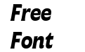 Freitag Trial Bold Italic