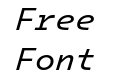 IntelOne Mono Italic