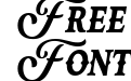 Neue Yokarto Spurs Italic