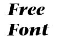 StoneSerif LT Bold