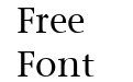 StoneSerif LT