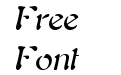 Freedom 9 Italic