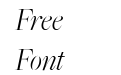 FreightBigLightItalic