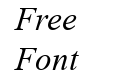 Times New Roman Italic